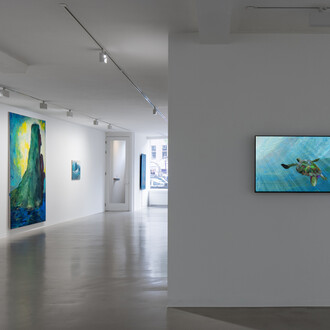 Jacco Olivier, Point Nemo, exhibition view. Courtesy of Galerie Ron Mandos 