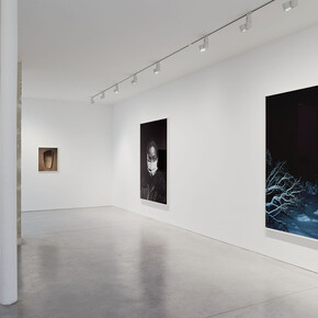 Plot Twist, Exhibition view. Courtesy of Art Concept