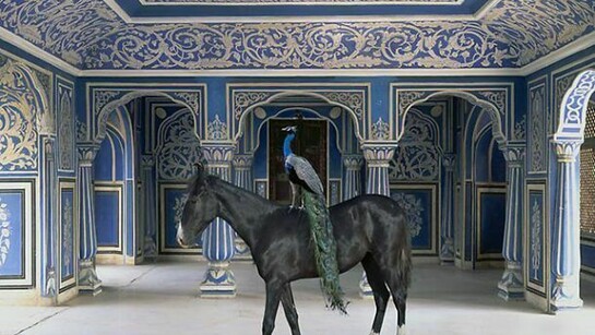 Sikanders Entrance, Chandra Mahal, Jaipur City, 24 x 30 inch pigment print, Edition 3 of 5, 48 x 60 inch pigment print, Edition 2 of 5