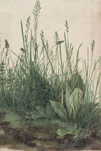 Albrecht Dürer. Courtesy of Albertina