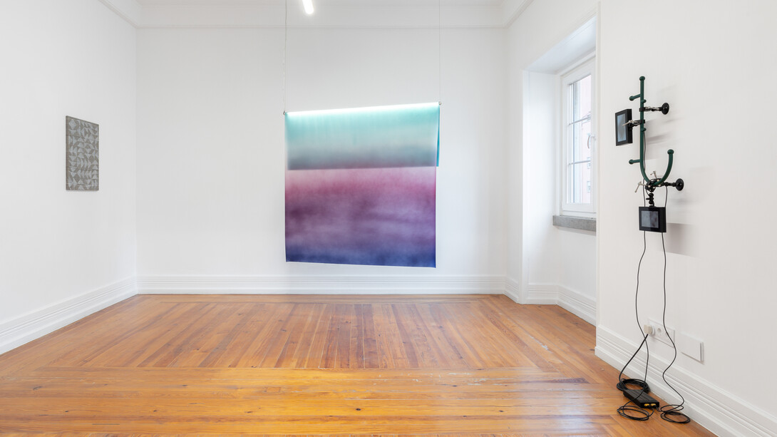 Various artists, Exhibit C, exhibition view. Courtesy of Document