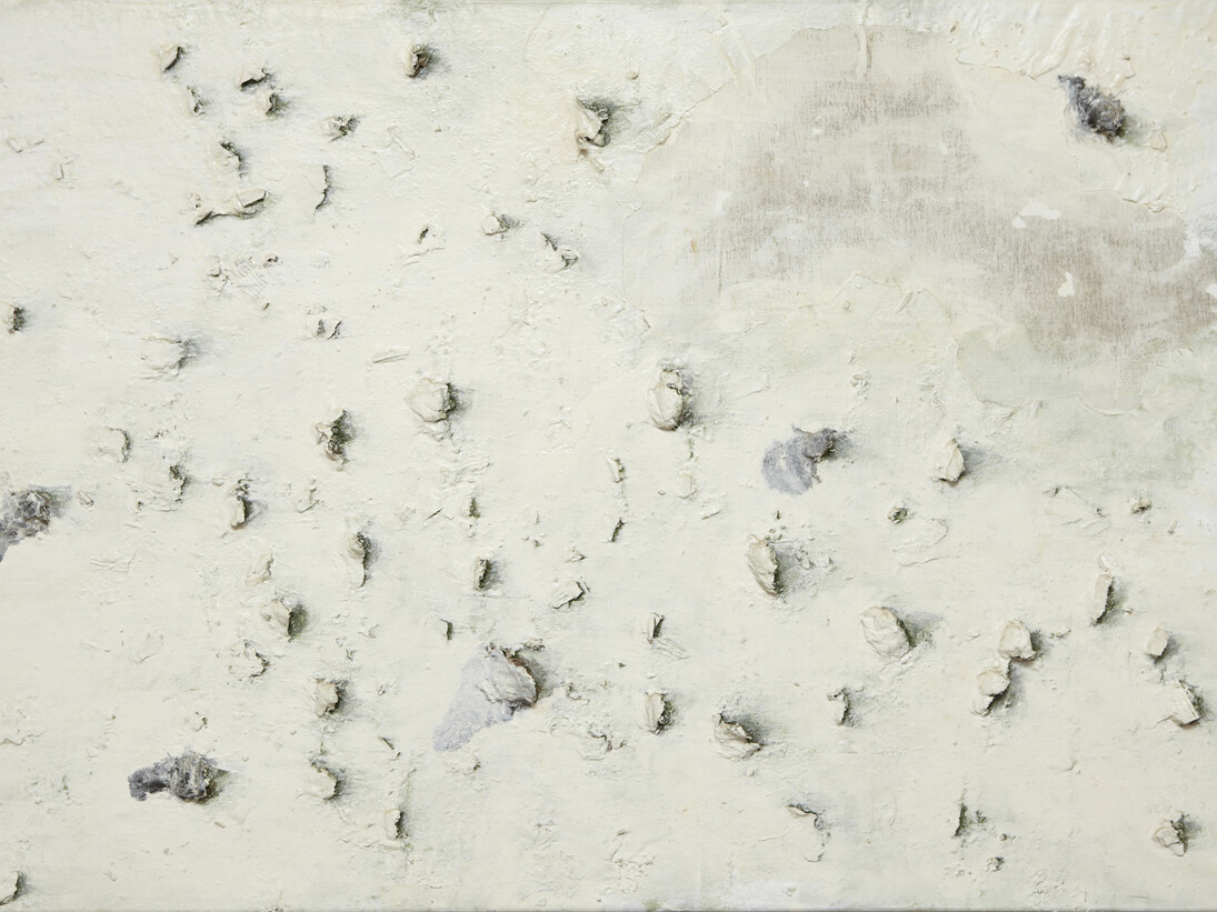 Miquel Barceló, Huitres II, 1988, Mixed media on canvas, 54 1/2 x 79 inches (138.4 x 200.7 cm). Courtesy Acquavella Galleries, Art © 1988 Miquel Barceló / Artists Rights Society (ARS), New York / ADAGP, Paris 