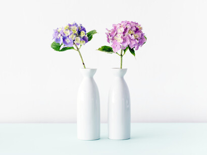 Two white vases with flower, Ikebana is Japanese flower arranging art form