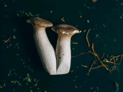 Il Pleurotus eryngii è particolarmente diffuso nelle regioni mediterranee, dove è considerato una prelibatezza della cucina tradizionale