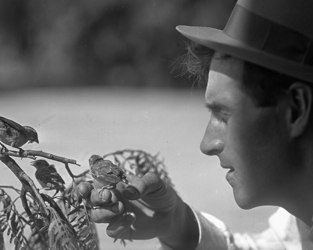 Catching Birds with a Camera. Courtesy of Oregon Historical Society