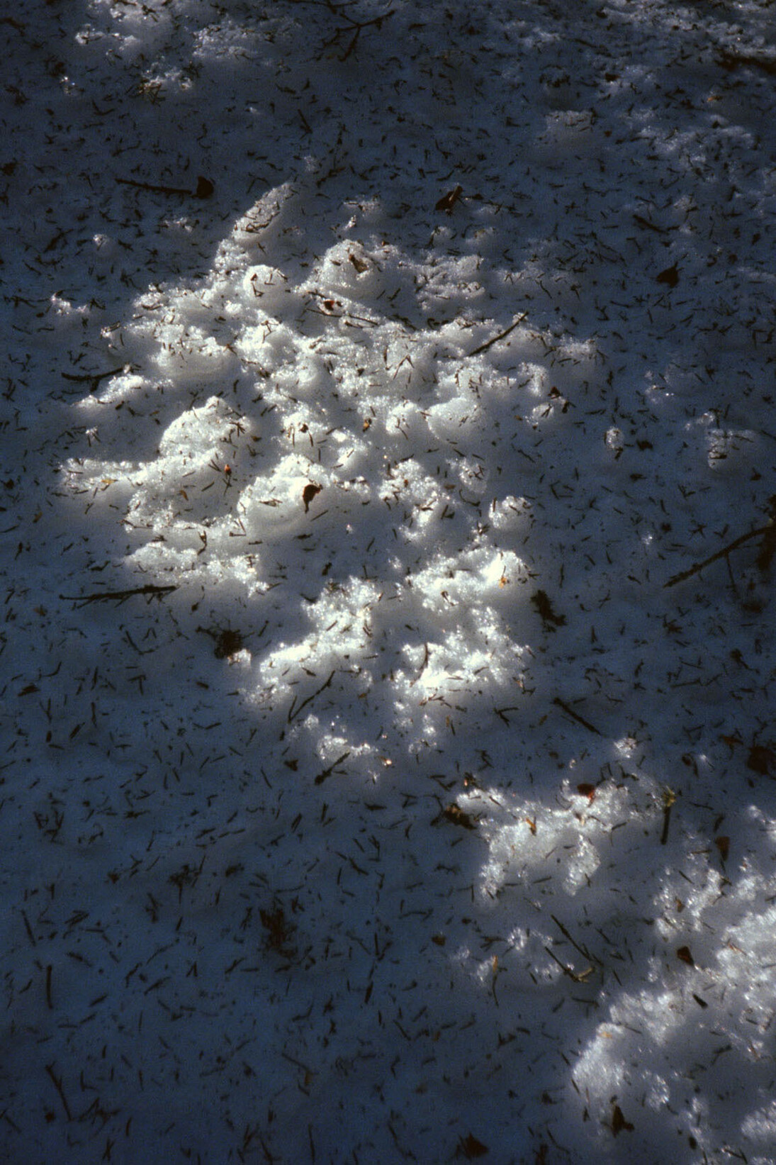 Philippe Durand, Neige, 2015, Tirage lenticulaire 3D, 51 x 59 cm, Ed. 1/3, Courtesy Galerie Laurent Godin, Paris © Philippe Durand / ADAGP