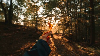 Às vezes é preciso perder alguma coisa para ganhar outras que tanto desejamos, é preciso desapegar de velharias para ajuntarmos em seu lugar novidades, todo mundo um dia na vida faz uma faxina em algum canto da casa para retirar o que não quer mais e colocar ali móveis novos, uma nova decoração prescinde de desfazermos da antiga, é preciso pintar as paredes com novas cores também, reconfigurar cômodos...