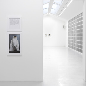 View of the exhibition “Parce que” at Perrotin Paris 13 octobre – 22 décembre 2018