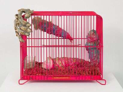 Tetsumi Kudo, Coelacanth, 1970. Courtesy of Hauser & Wirth Gallery