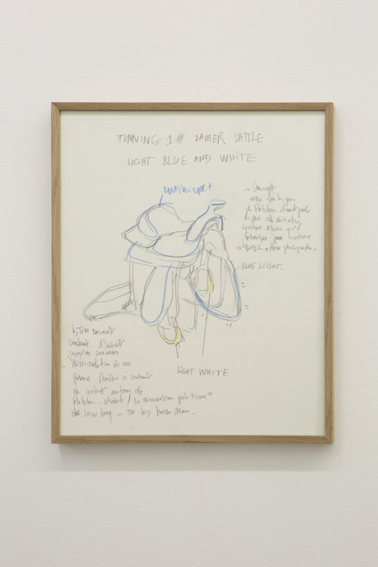 Mohamed Bourouissa. Courtesy of Barnes Foundation 