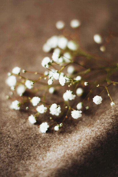 La Sra. Flor Pedroza de Osuna