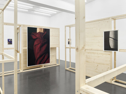 Paul Hutchinson, Selected citizens, exhibition view. Courtesy of Sies+Höke Galerie 