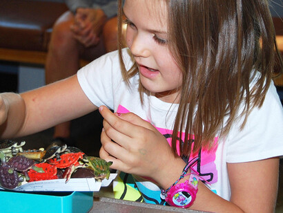 Discovery Center. Courtesy of Museum of Science
