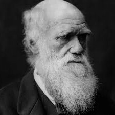 Le soluzioni post-darwiniane al dilemma della “inutilità” o “utilità” della bellezza sono state e sono ancora molte, vista l’effervescenza di un dibattito tutt’altro che chiuso