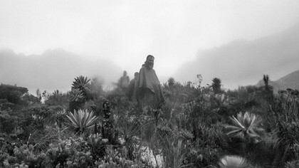 Vereda La Nevera es una zona en el Valle del Cauca, Región del Pacífico y tiene una altitud de 2.465 metros. Vereda La Nevera se encuentra cerca de la localidad de El Salado, así como de El Socorro, Colombia