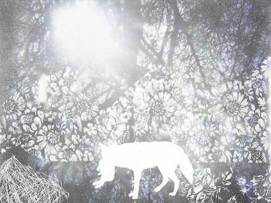 Christopher Russell, Aftermath #3, 2013, Pigment print scratched with a razor, spray paint, 14 x 18 inches