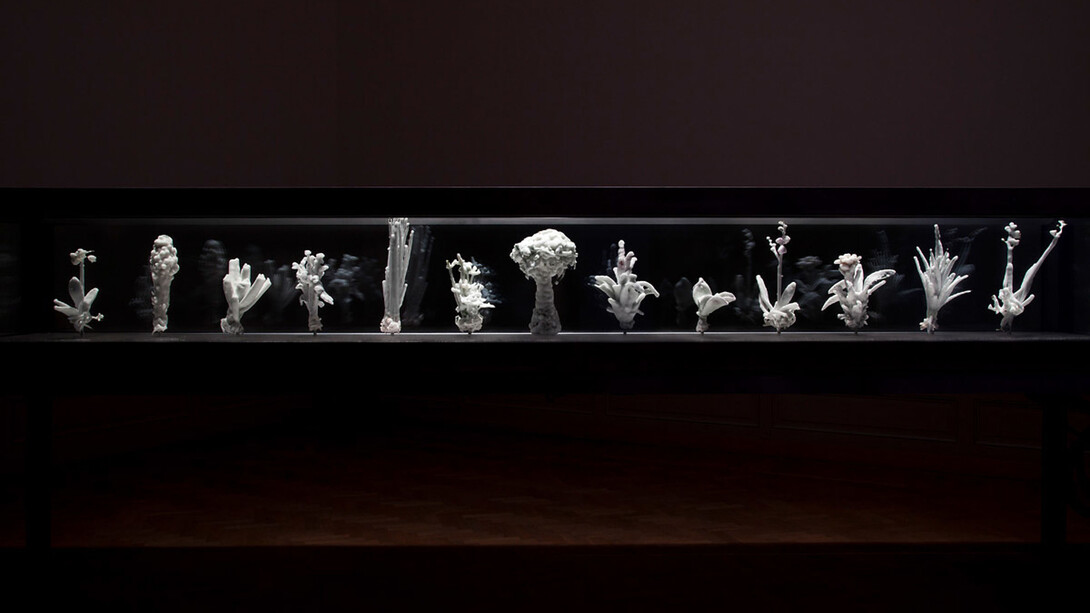 Julian Charrière. Courtesy of Aargauer Kunsthaus
