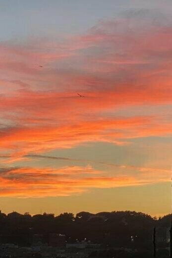 Avevo il cielo. Alla fine, ha piovuto pochissimo e poi è arrivato un tramonto rosso, inquietante, da fine del mondo