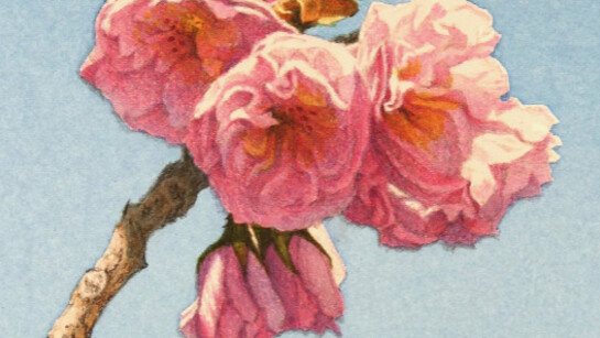 Frederick Brosen. Courtesy of Garvey|Simon 