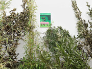 Jonathan Monk, Untitled, 2017, Acrylic and Print on Canvas, 40 x 30 x 2 cm. 