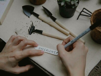 A writer writing down the word "succulent" in hopes that it will trigger a worthy poem