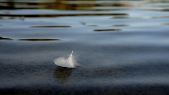 È attraverso la tenerezza che lo sguardo oltrepassa la porta angusta del dolore 