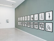 Santu Mofokeng, Ishmael: Eyes Wide Shut – Motouleng Cave, Clarens – Magic and Disease – Ishmael. Courtesy carlier | gebauer