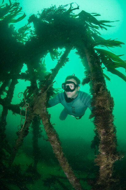 Apnea nel relitto del Louis Sheid al largo del South Devon, in Inghilterra, foto Dan Bolt
