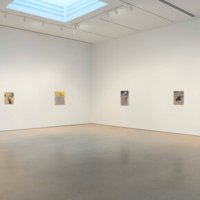 Rezi van Lankveld, Premonitions, exhibition view. Courtesy of Petzel