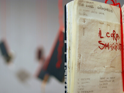 Alessandra Baldoni, Le cose che vedi