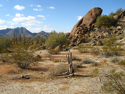 Las historias personales de inmigrantes mexicanos legales e ilegales en los Estados Unidos son la mayoría de las veces apabullantes