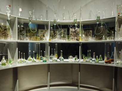 Janet Laurence. Courtesy of MCA