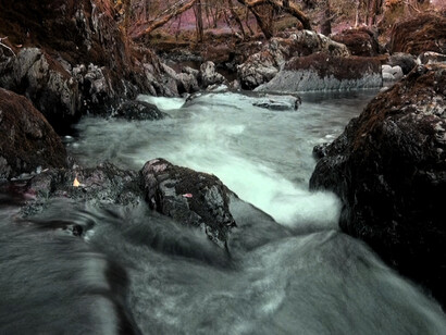 David Ian Bickley, Torrent