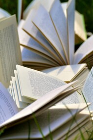  Le teorie contemporanee sull'intelligenza artificiale esplorano se la coscienza sia un fenomeno emergente o intrinsecamente legato alla biologia umana
