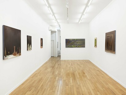 Installation View, Rachael Catharine Anderson, Sex and Death. Courtesy of Signs and Symbols