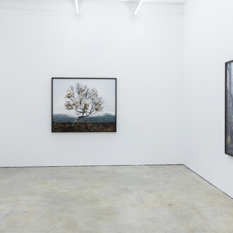 Riitta Päiväläinen, Phantasma, exhibition view. Courtesy of Persons Projects