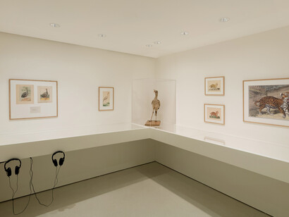 Hercule Florence, Exhibition view. Courtesy of Nouveau Musée National de Monaco