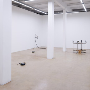Paula Punkstiņa, The arrows of concerns, exhibition view. Courtesy of Kim? Contemporary Art Centre. Photo by Ansis Starks