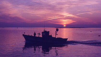 Ria Formosa, uno de los lugares más calurosos de Argentin