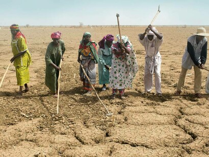Farmers in the Sahel are dealing with global heating