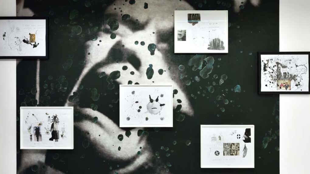 Moi qui adore Barnett Newman, on peut dire qu'on en est loin, Exhibition view. Courtesy of Galerie Christophe Gaillard