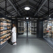 Verschiedene Künstler, Hinter den kulissen², Ausstellungsansicht. Mit freundlicher Genehmigung des Albertinum Museums