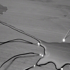 Electricities by David Goldes. Courtesy of Damiani