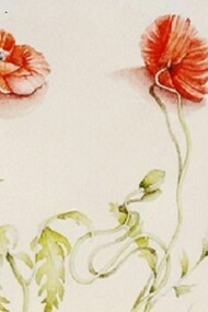 Mariella Busi, Two poppies (Watercolour)