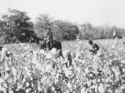 Slave owners on horseback are keeping a close eye on the African slaves who are picking cotton