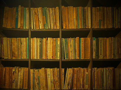 Les livres, tout comme les solutions aux problèmes complexes, demandent une attention et une compréhension profondes, mais leur accumulation ne sert à rien si l’on ne prend pas l’initiative d'agir