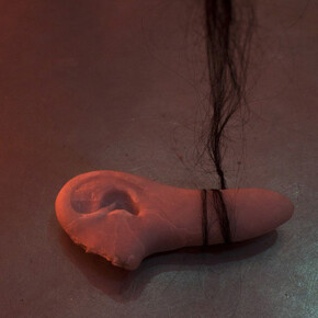 Catalina Ouyang, fish mystery in the shift horizon. Courtesy of Rubber Factory