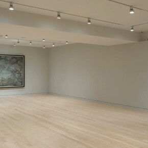 Hao Liang, Portraits and Wonders Installation View, 2018