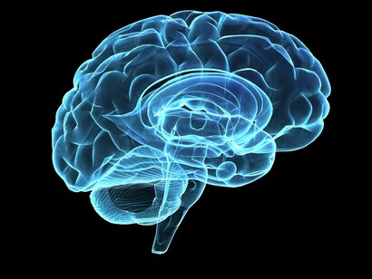 El cerebro humano, una máquina compleja y preciosa que debemos cuidar