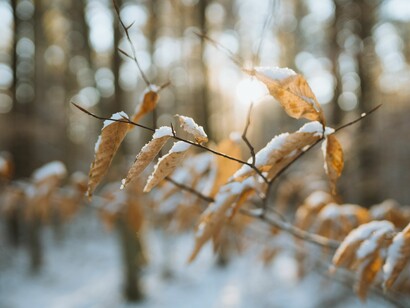Nel silenzio si incontra qualcosa